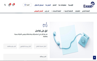 Esaal Store responsive layout